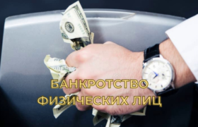 VS CONSULT БАНКРОТСТВО ФИЗИЧЕСКИХ ЛИЦ