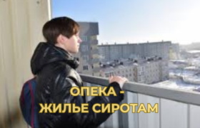 VS CONSULT. ЖИЛЬЕ СИРОТАМ