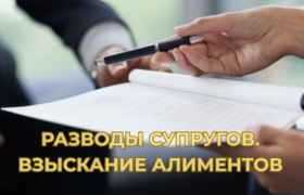 VS CONSULT. АЛИМЕНТЫ